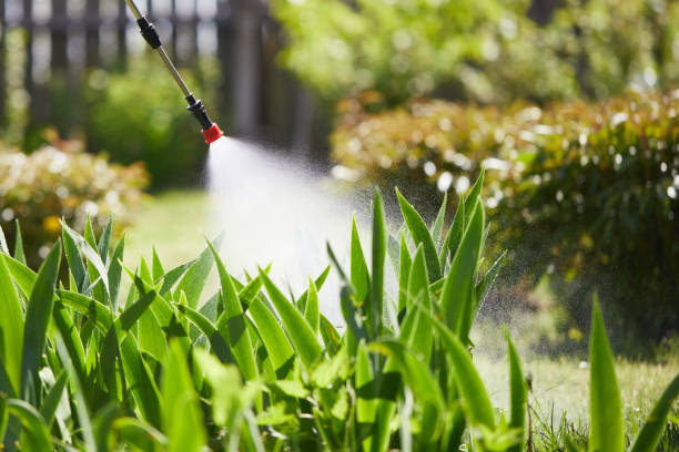 24/7 Emergency Mosquito Control experts in Newport, MN